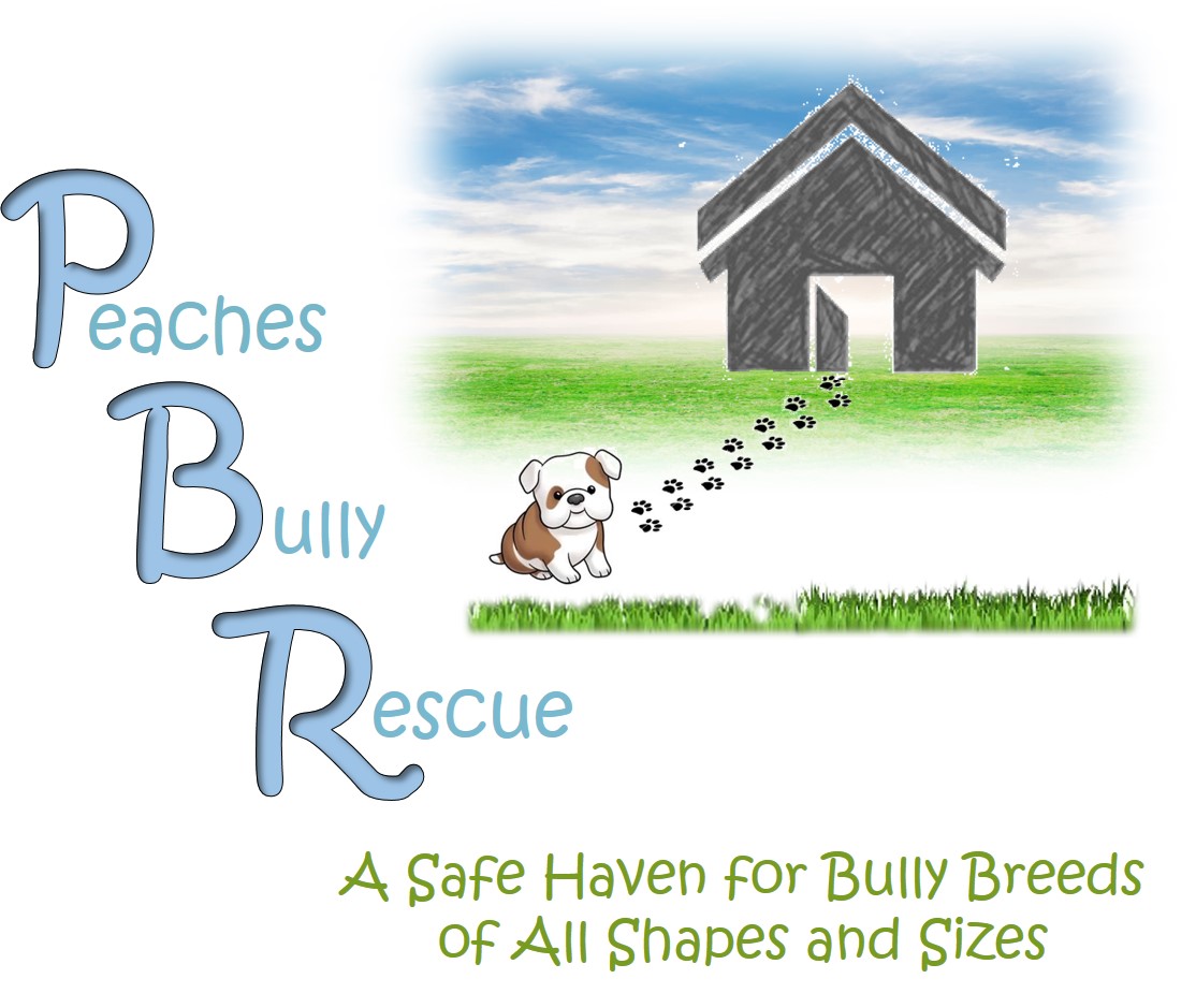 PEACHES BULLY RESCUE